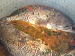 koskinas fish1