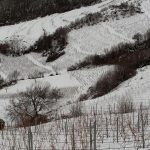 snow-1024×480