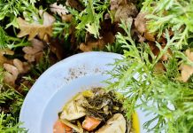 Άγρια χόρτα, το τεράστιο κεφάλαιο της Ελληνικής κουζίνας.